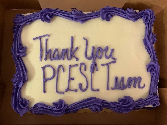Cake with Thank you PCESC Team on it